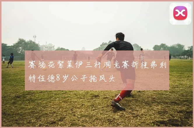 赛场花絮莱伊三杆洞竞赛折桂弗利特伍德8岁公子抢风头