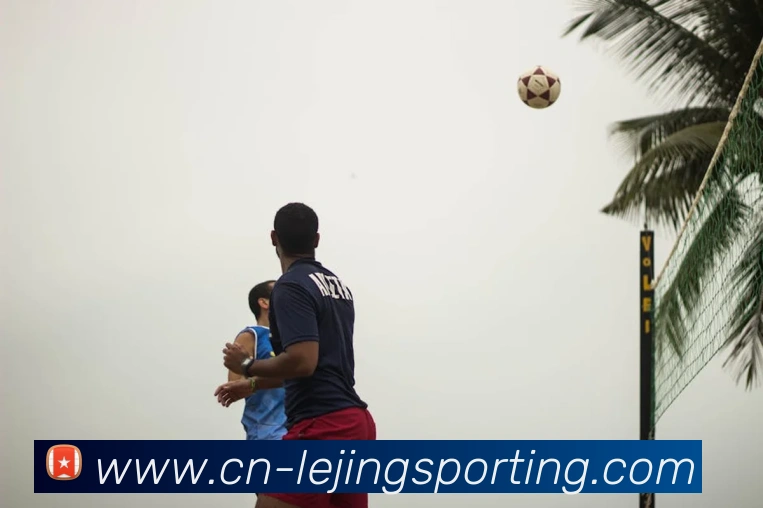 App Interface Preview